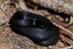 2017-03-31_08_Maerz_7340_RH