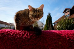 2017-03-26_011_Spiky_Impressionen_Maerz_WP