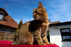 2017-03-26_012_Spiky_Impressionen_Maerz_WP