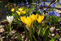 2017-03-26_013_Impressionen_Maerz_WP