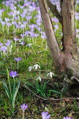 2017-04-01_015_Fruehling_MP