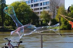 2017-04-30_002_Landshut_MP