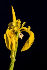 2017-05-31_29_Rotes_Moos_6122_RH