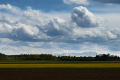 2017-05-02_010_Impressionen_Mai_WP