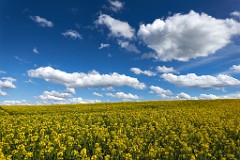 2017-05-02_012_Impressionen_Mai_WP