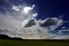 2017-05-02_015_Impressionen_Mai_WP