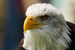 2017-05-13_001_Naturfototage_FFB_WP