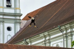 2017-05-13_004_Naturfototage_FFB_WP