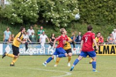 2017-06-17_082_SVM_Relegation_Endspiel_7485_RH