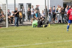 2017-06-17_099_SVM_Relegation_Endspiel_7590_RH