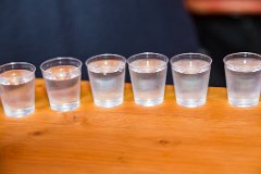 RHO_2017-06-24_Feuerwehr_Sommerfest_3296