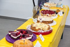 RHO_2017-06-24_Feuerwehr_Sommerfest_3319