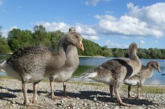 2017-06-30_002_Freizeitpark_MP