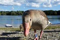 2017-06-30_003_Freizeitpark_MP
