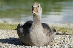 2017-06-30_004_Freizeitpark_MP