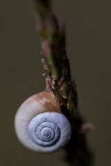 2017-06-30_20_Schneckenhaus_2763_RH