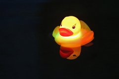 2017-07-08_095_Musikalische_Nacht_MP