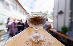 2017-07-15_054_Sommerfest_Montessori-Schule_1484_TU