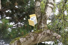 2017-07-23_132_Familienfest_zum_Patrozinium_MP