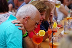 2017-07-30_066_Gartenfest_KBV_WP