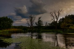 2017-07-31_35_Gewitterstimmung_6245_RH