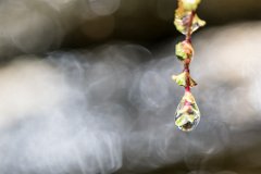 2017-08-31_61_Grossglockner_Wasserspiele_0224_RH