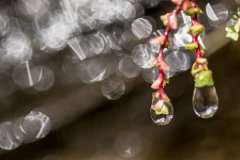 2017-08-31_62_Grossglockner_Wasserspiele_0227_RH