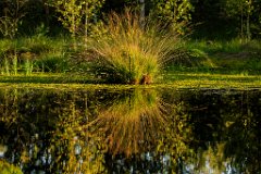 2017-08-31_80_Haspelmoor_8743_RH