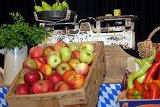 2017-09-23_04_Erntedankfest_Obst-und-Gartenbauverein_TF