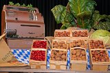 2017-09-23_06_Erntedankfest_Obst-und-Gartenbauverein_TF