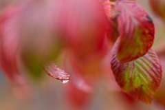 2017-09-30_02_Tropfenspiel_8689_RH