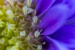 2017-09-30_03_gross_gemacht_8694_RH