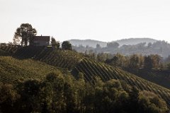 2017-09-30_05_Suedsteiermark_9150_RH