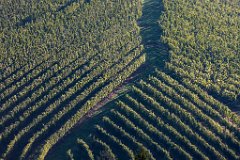 2017-09-30_08_Suedsteiermark_9152_RH