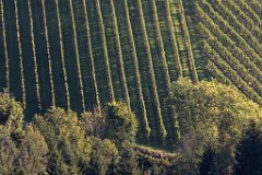 2017-09-30_09_Suedsteiermark_9156_RH