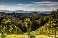 2017-09-30_10_Suedsteiermark_9164_RH