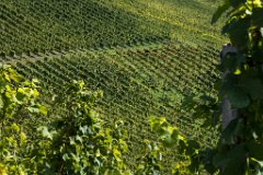 2017-09-30_11_Suedsteiermark_9179_RH