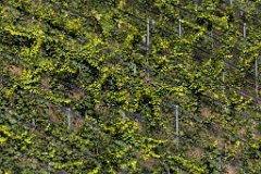 2017-09-30_14_Suedsteiermark_9232_RH