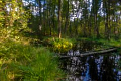 2017-09-30_29_Suedsteiermark_Attemsmoor_9690_RH