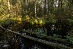 2017-09-30_30_Suedsteiermark_Attemsmoor_9716_RH