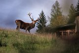 2017-09-17_09_MFC_Wildschoenau_Niederau_TF