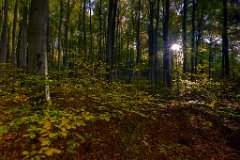 2017-10-31_01_Schoenwald_1764_RH