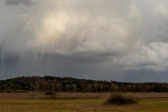 2017-10-31_07_Ampermoos_0389_RH