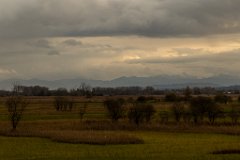 2017-10-31_08_Ampermoos_0400_RH