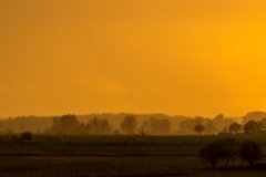 2017-10-31_09_Ampermoos_0438_RH