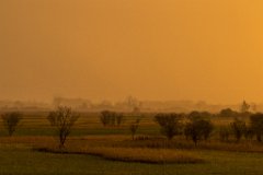 2017-10-31_10_Ampermoos_0445_RH