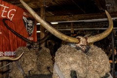 2017-10-31_23_Perchtenausstellung_Hallein_2065_RH
