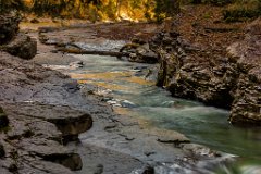 2017-10-31_48_Tauglgries_2517_RH