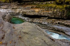 2017-10-31_49_Tauglgries_2561_RH