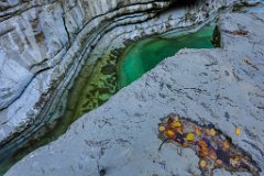 2017-10-31_52_Tauglgries_2651_RH